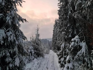 Casa de vacaciones Houffalize Entorno 19