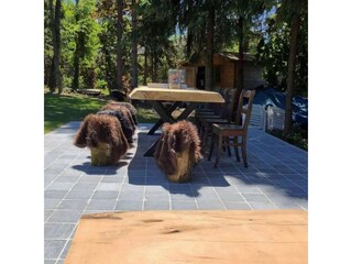 Maison de vacances Barvaux-sur-Ourthe Enregistrement extérieur 5