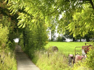 Vakantiehuis Barvaux-sur-Ourthe Omgeving 24