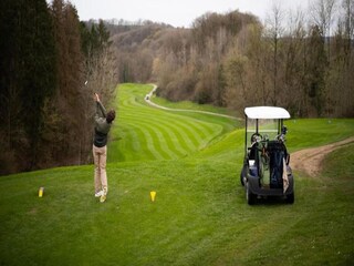 Casa per le vacanze Barvaux-sur-Ourthe Ambiente 33