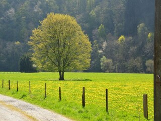 Vakantiehuis Somme-Leuze Omgeving 31