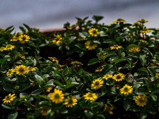 Casa per le vacanze Somme-Leuze Ambiente 19