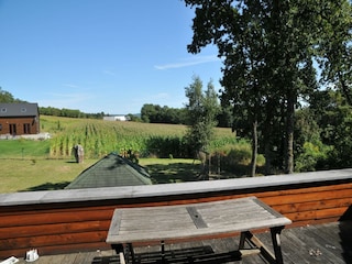 Ferienhaus Durbuy Außenaufnahme 6