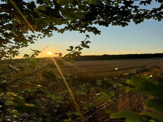 Maison de vacances Durbuy Environnement 27