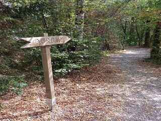 Ferienhaus Durbuy Umgebung 19