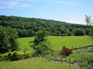 Casa de vacaciones Barvaux-sur-Ourthe Grabación al aire libre 11