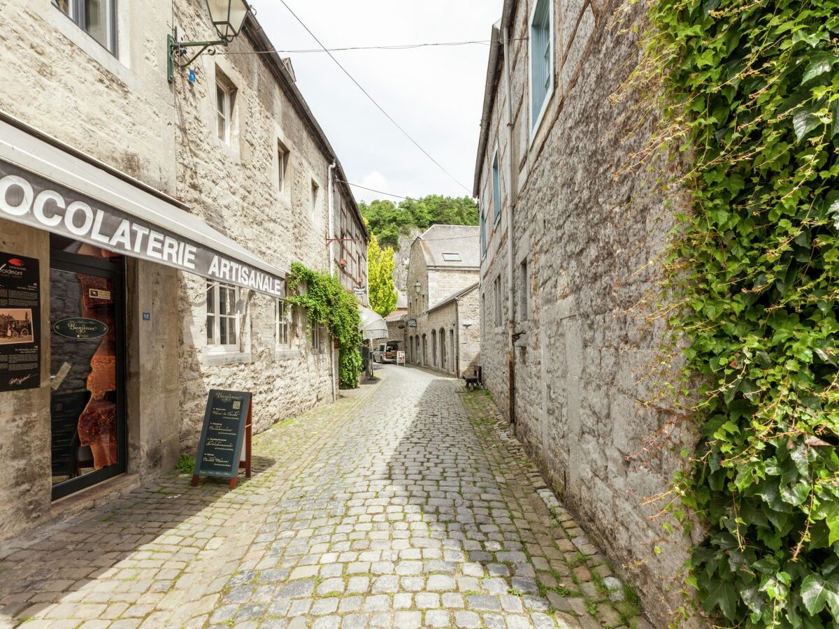 Ferienhaus Barvaux-sur-Ourthe Umgebung 25