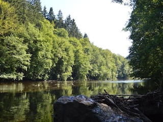 Ferienhaus Barvaux-sur-Ourthe Umgebung 26