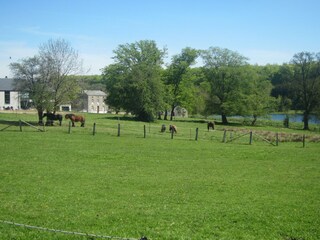 Vakantiehuis Houffalize Omgeving 19