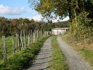 Casa de vacaciones Houffalize Entorno 18