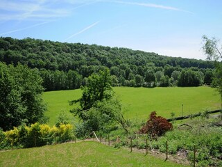 Vakantiehuis Barvaux-sur-Ourthe Buitenaudio-opname 8