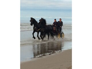 Casa per le vacanze Callantsoog Ambiente 17