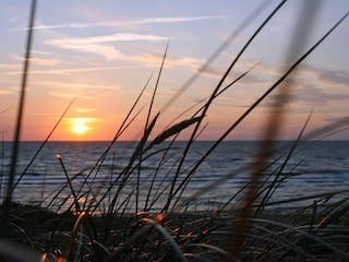 Sonnenaufgang am Meer