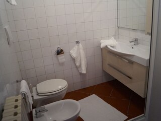 Villa Moniga del Garda Caratteristiche 17