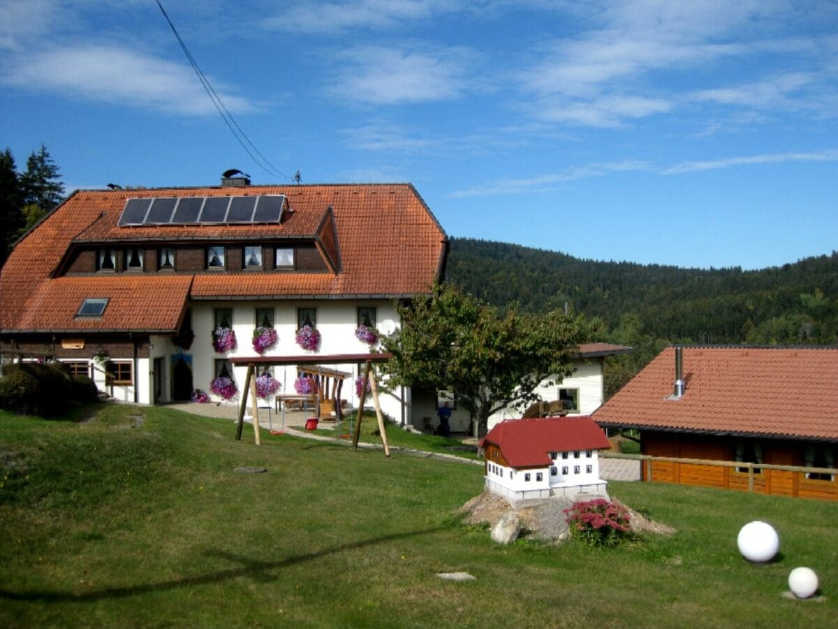 Holiday apartment Dachsberg Outdoor Recording 1