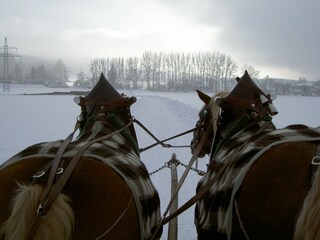 Winterliche Pferdeschlittenfahrt