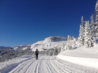 Vakantieappartement Hirschegg im Kleinwalsertal Omgeving 25