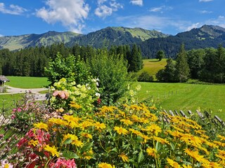 Vakantieappartement Hirschegg im Kleinwalsertal Buitenaudio-opname 5