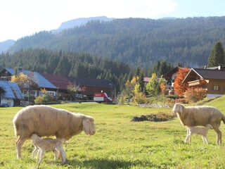 Vakantieappartement Hirschegg im Kleinwalsertal Buitenaudio-opname 6