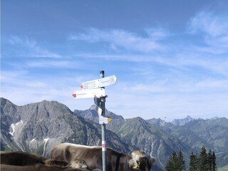 Vakantieappartement Hirschegg im Kleinwalsertal Omgeving 21