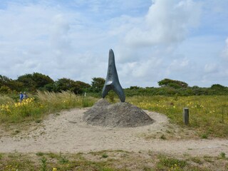 Bungalow Cadzand-Bad Omgeving 23