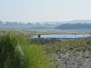 Bungalow Cadzand-Bad Omgeving 30