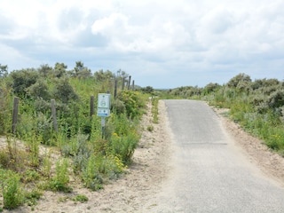 Bungalow Cadzand-Bad Environment 27
