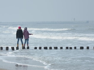 Bungalow Cadzand-Bad Environment 28