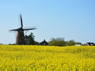 Vakantiehuis Cadzand-Bad Omgeving 23