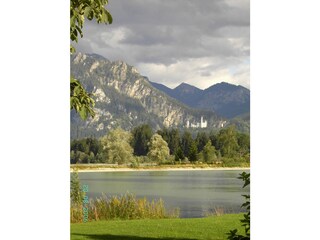 Forggensee mit Schioß Neuschwanstein