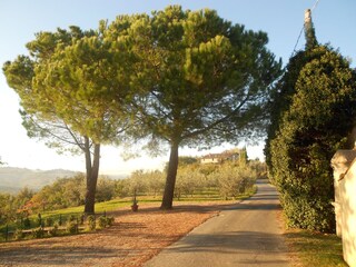 Appartamento per vacanze Gambassi Terme Registrazione all'aperto 3