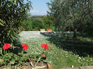 Appartamento per vacanze Gambassi Terme Registrazione all'aperto 7