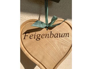 Appartamento per vacanze Lana Registrazione all'aperto 9