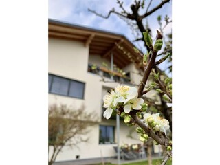 Appartamento per vacanze Lana Registrazione all'aperto 2