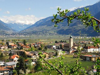 Appartamento per vacanze Lana Ambiente 20