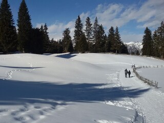 Appartamento per vacanze Lana Ambiente 22