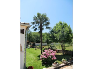 Appartement de vacances Kanfanar Équipement 19