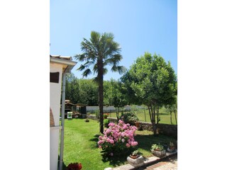 Holiday apartment Kanfanar Features 19