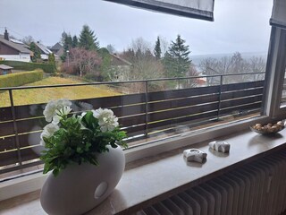 Ausblick