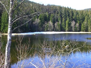 Titisee