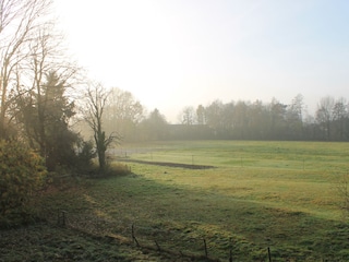 Weide hinter dem Haus