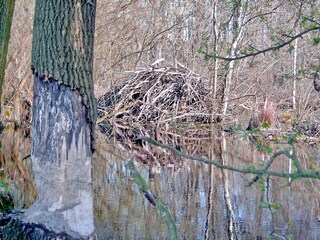 Appartamento per vacanze Schönlage Ambiente 38