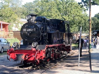 Schmalspurbahn "Rasender Roland"