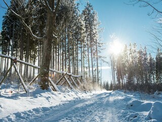 Appartement Nová Pec Omgeving 14
