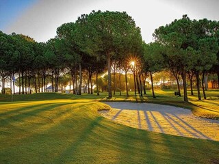 Villa La Unión Ambiente 37