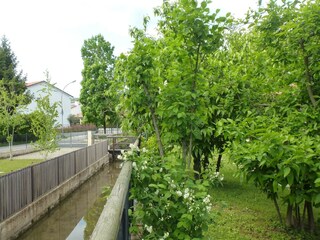 Holiday house Caerano di San Marco Outdoor Recording 14