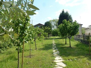 Casa de vacaciones Caerano di San Marco Grabación al aire libre 11
