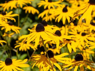 Apartamento de vacaciones Uttendorf Grabación al aire libre 8