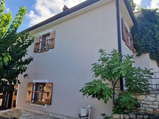 Villa Novigrad (Istrien) Registrazione all'aperto 7