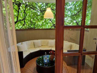 Villa Novigrad (Istrien) Registrazione all'aperto 9